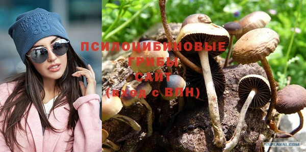 mdpv Арсеньев
